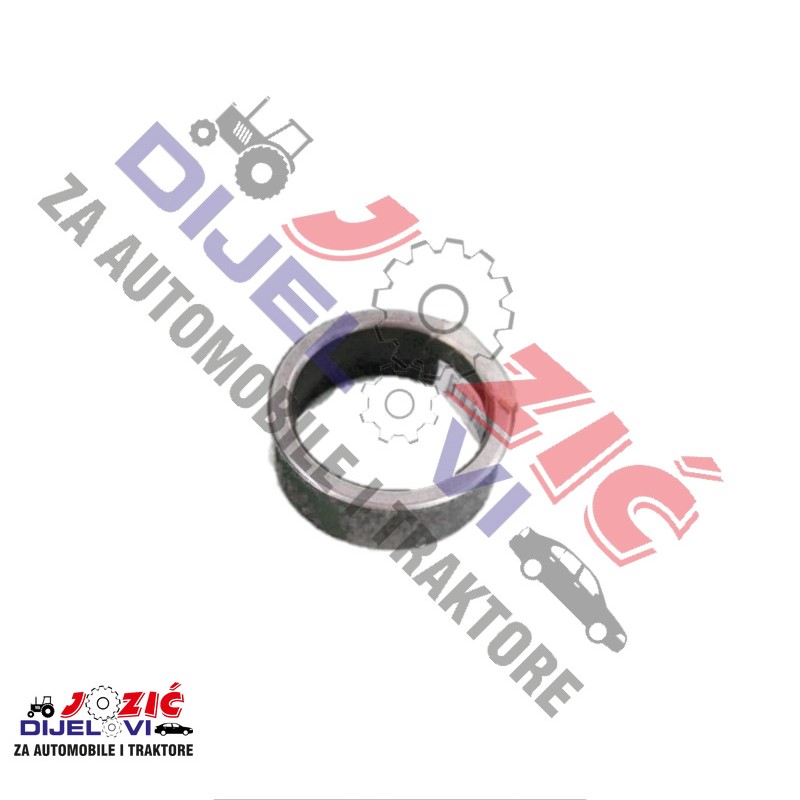 Daisy on the Ohoopee